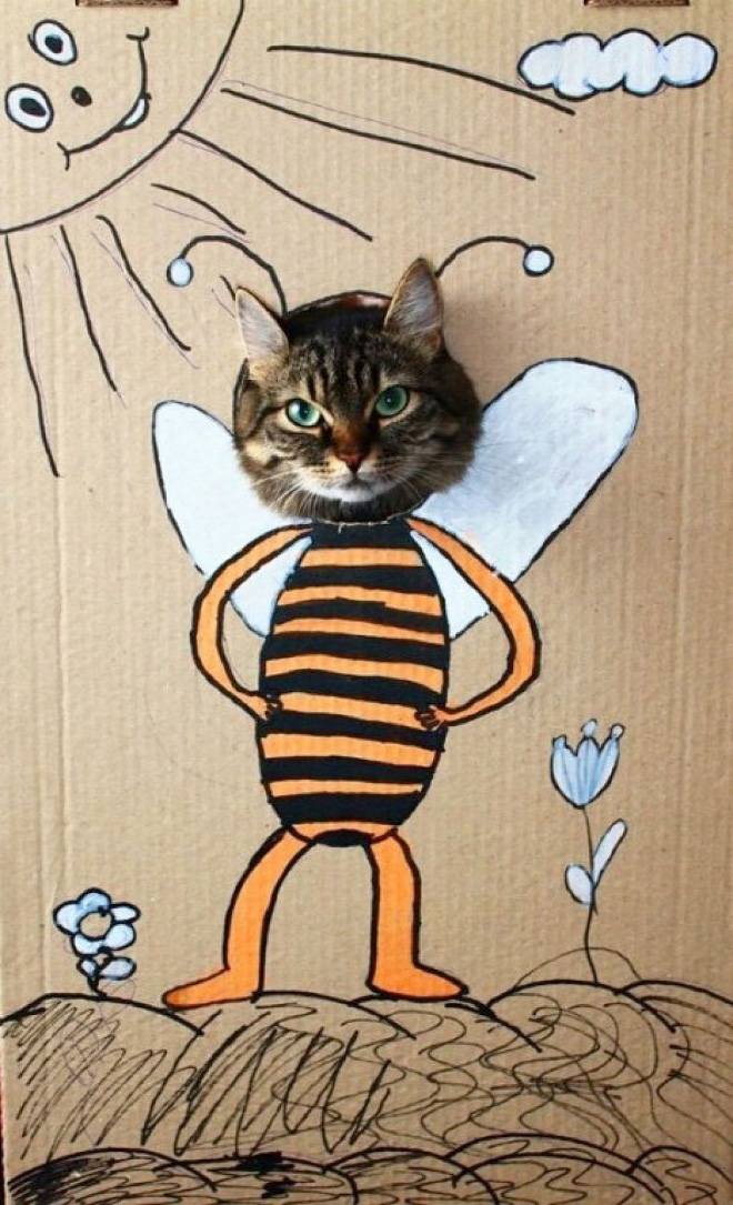 4 Akibat Kalau Seseorang Punya Kucing Dan Banyak Waktu Luang